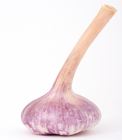 veg5_4417 بصل أبيض - الصورة 1